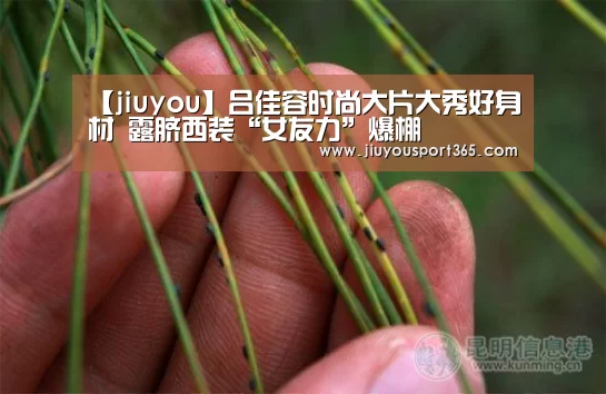 【jiuyou】吕佳容时尚大片大秀好身材 露脐西装“女友力”爆棚(图1) 九游官网